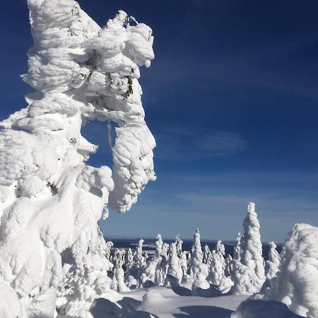 Direkt Am Skihang! Mueller Ferienwohnungen Oberwiesenthal Luaran gambar