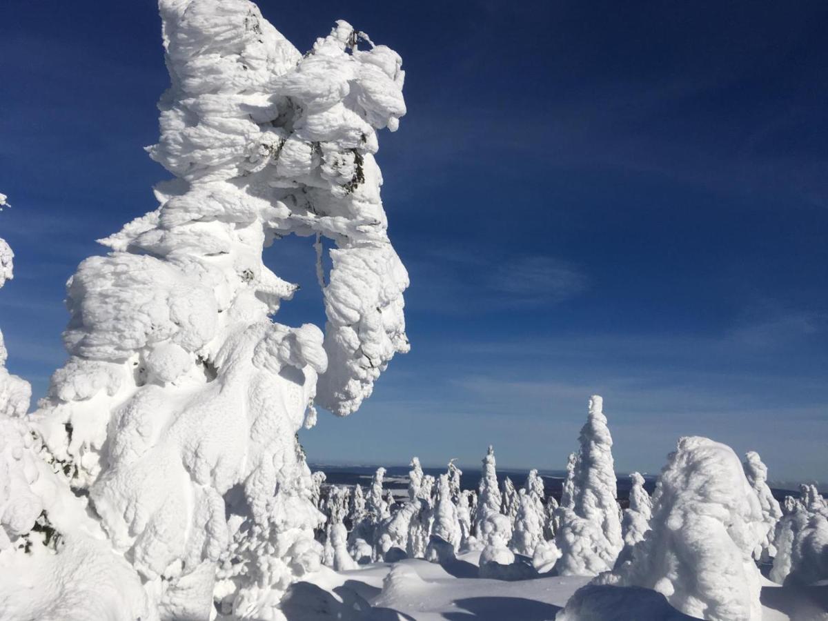 Direkt Am Skihang! Mueller Ferienwohnungen Oberwiesenthal Luaran gambar