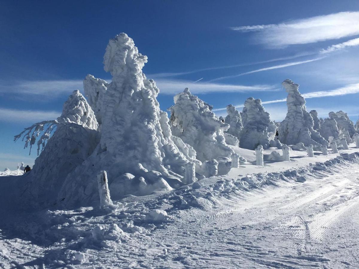 Direkt Am Skihang! Mueller Ferienwohnungen Oberwiesenthal Luaran gambar